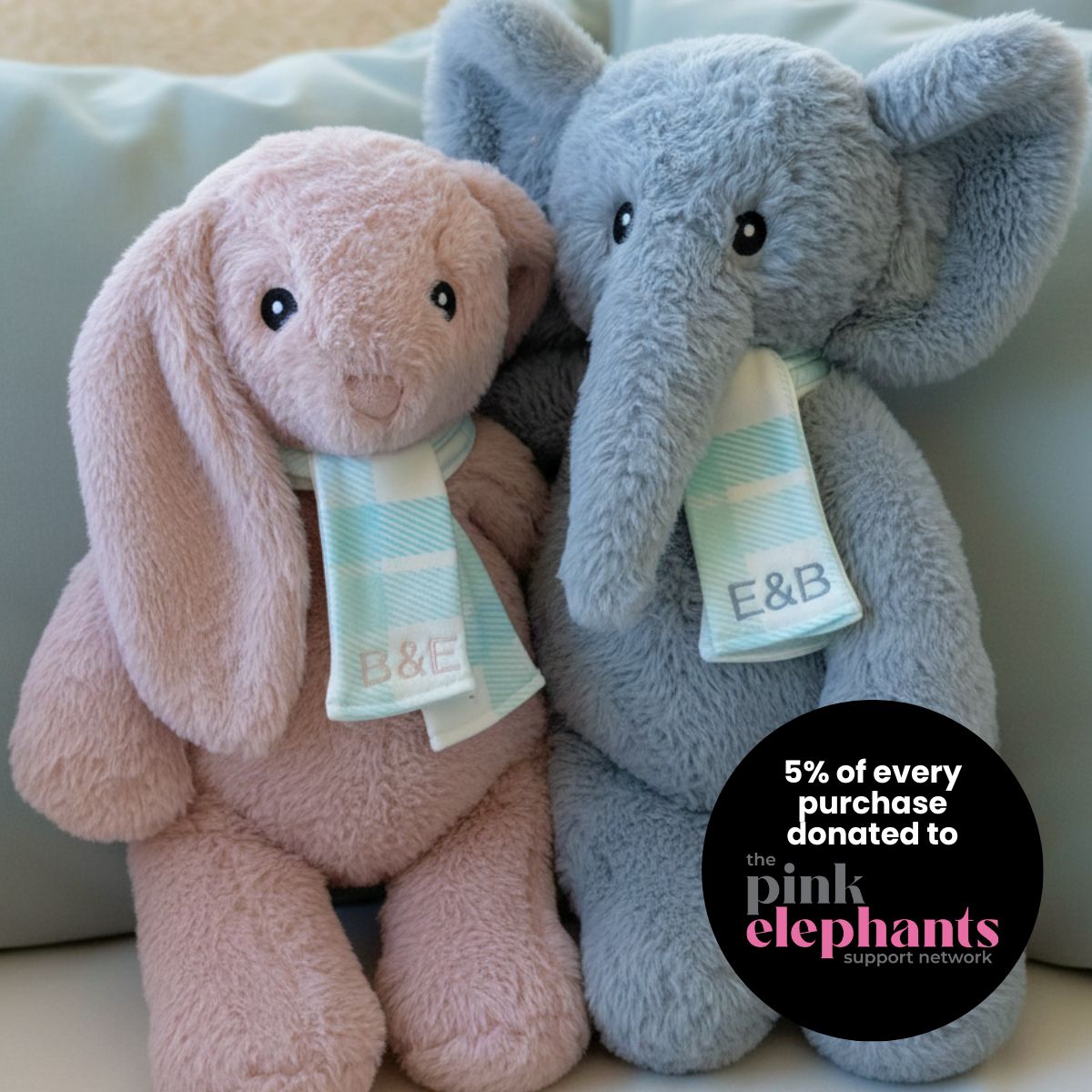 $900 donated to The Pink Elephants Support Network