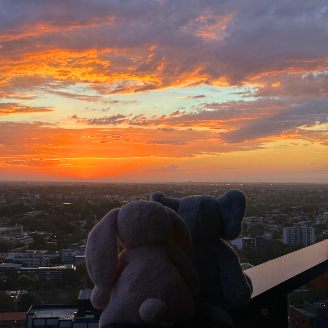 5 Reasons Why Weighted Stuffed Animals Make the Perfect Valentine's Day Gift