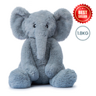 Echo the Elephant
