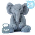 Echo the Elephant