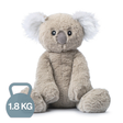 Koko the Koala
