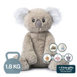 Koko the Koala 1.8kg Weighted Stuffed Animal